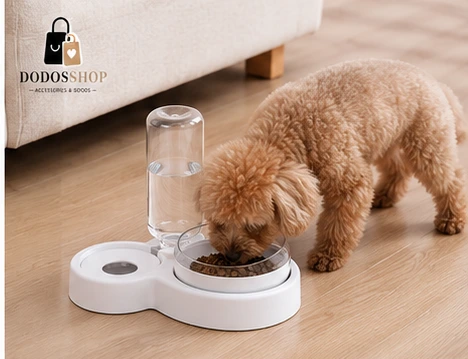 Automatic Pet Food & Water Bowl